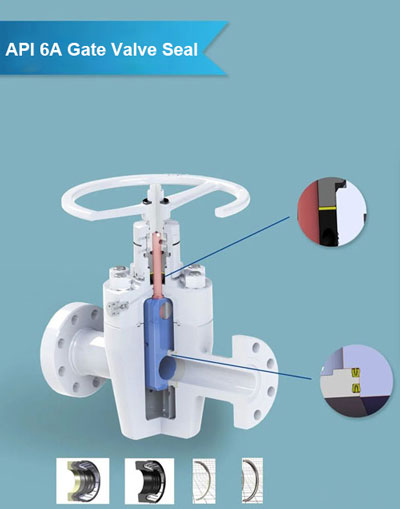 gate valve seal